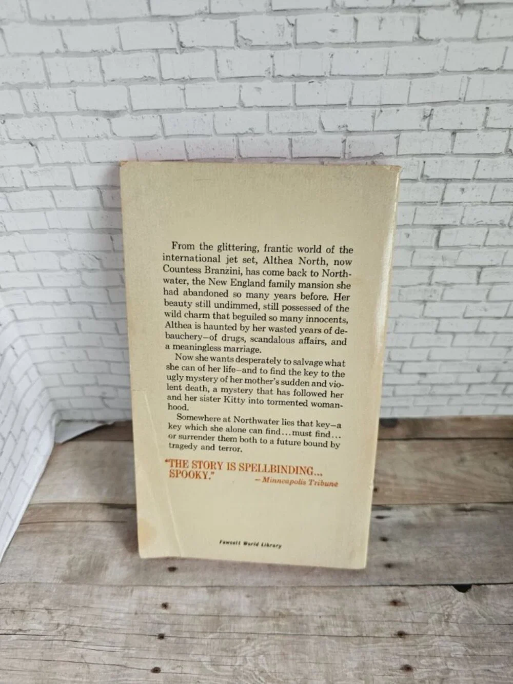Vintage Gothic Novel Northwater by Cecily Crowe 1968 Romantic Suspense Rare HTF